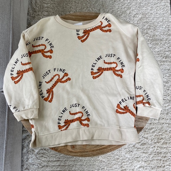 Zara Other - Zara Feline Just Fine Sweatshirt